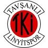Tavşanlı Linyitspor football club