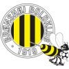 Bronshoj BK football club