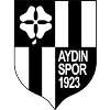 Aydinspor 1923 football club