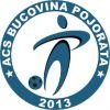 Bucovina Pojorâta football club