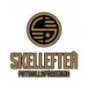 Skelleftea FF football club