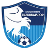 Erzurumspor FK football club