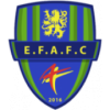 Feignies Aulnoye football club