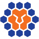 Queensland Lions FC football club