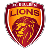 Bulleen Lions football club