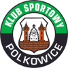 Górnik Polkowice football club
