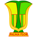 CD Palmaflor del Trópico football club