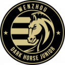 Wenzhou FC