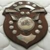 Hong Kong Senior Challenge Shield