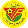 Vietnamese Super Cup
