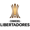 Copa Libertadores
