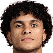 Gabriel Silva Vieira