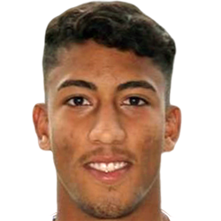 Bruno Henrique Marques Torres
