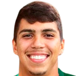 Pedro Henrique Carrerette Lima