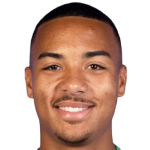 Allan Michaël Delferriere