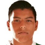 Juan Alexis Ribera Castillo