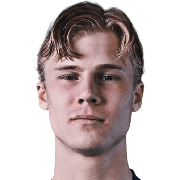 Theo Bergvall
