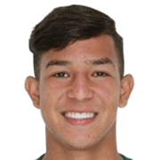 Pedro Henrique Pereira Viana