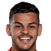 Gabriel Maioli Da Silva