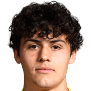 Devan Austin Tanton Pedraza