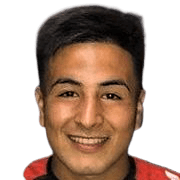 Enzo Santiago Ariel Hoyos