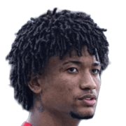 Diego Kauan Silva Santos