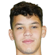 João Vitor Kaminski Borba Ferreira