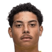 Kauê Vinicius De Souza Camargo