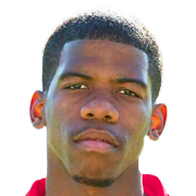 Luis Pedro Da Silva Ferreira