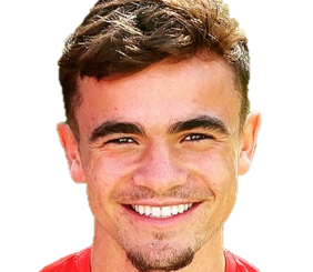 Dominic David Telford