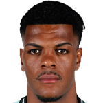 Saulo Ferreira Silva