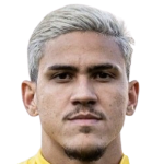 Pedro Guilherme Abreu Dos Santos