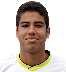 Misael Benjamin Llantén Letelier