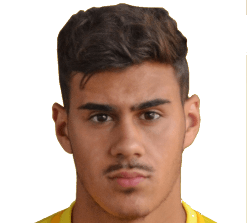 Daniel Pedro Martinho Teixeira