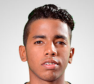 Brayan Enrique Palmezano Reyes