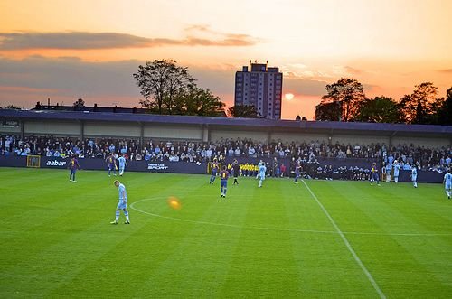 Ewen Fields