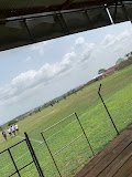 Gyamfi Park