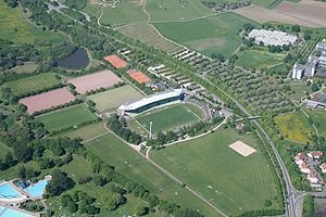 Kreuzeiche