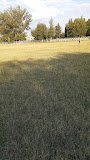 Sartitchala Central Stadium